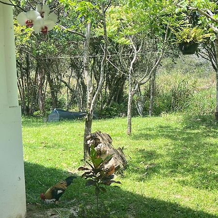 مبيت وإفطار Guarda do Embaú Morada Fenix المظهر الخارجي الصورة
